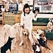 Dog Cafe South Korea