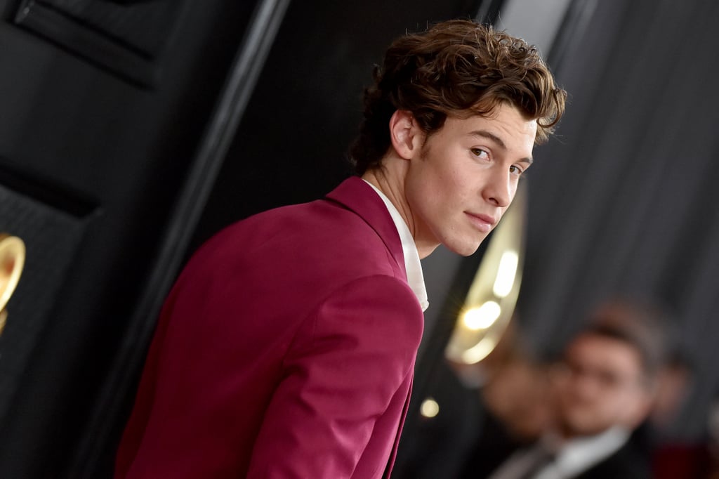 Shawn Mendes Discusses How "In My Blood" Is About Anxiety