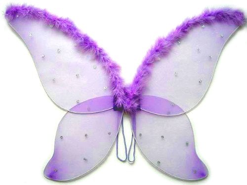 Large Fairy Wings With Feather