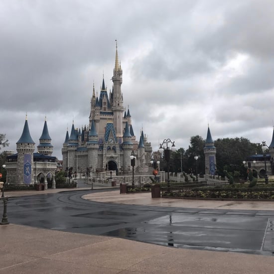 Disney World Reopens After Hurricane Irma