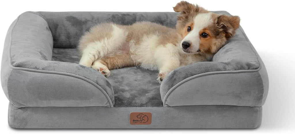 Best Amazon Deal on a Dog Bed