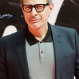 50 Photos That Will Validate Your Decades-Long Crush on Jeff Goldblum