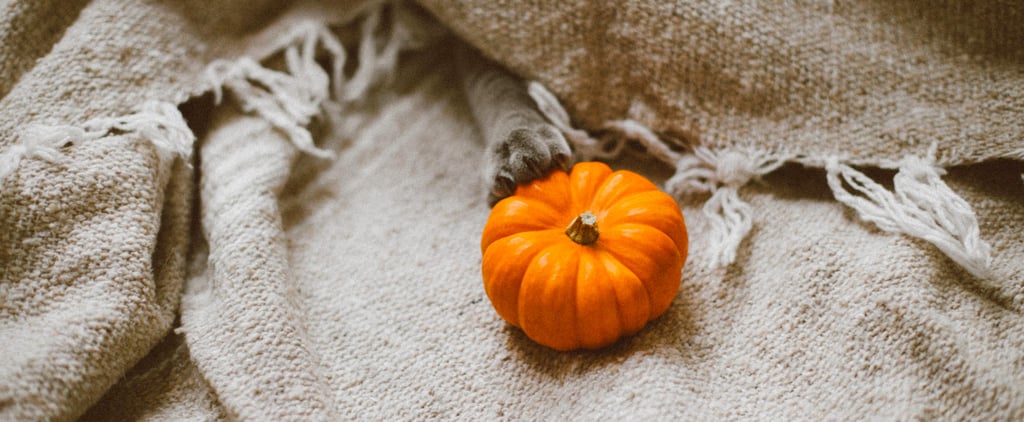 Affordable Fall Activities