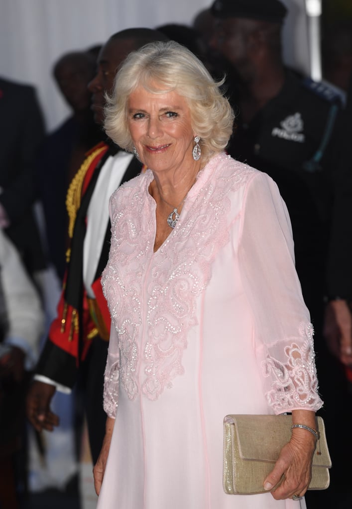 Prince Charles and Duchess Camilla Dancing in Ghana Video