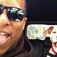 Smiley Pit Bull Can't Contain His Joy on the Way to His New Forever Home