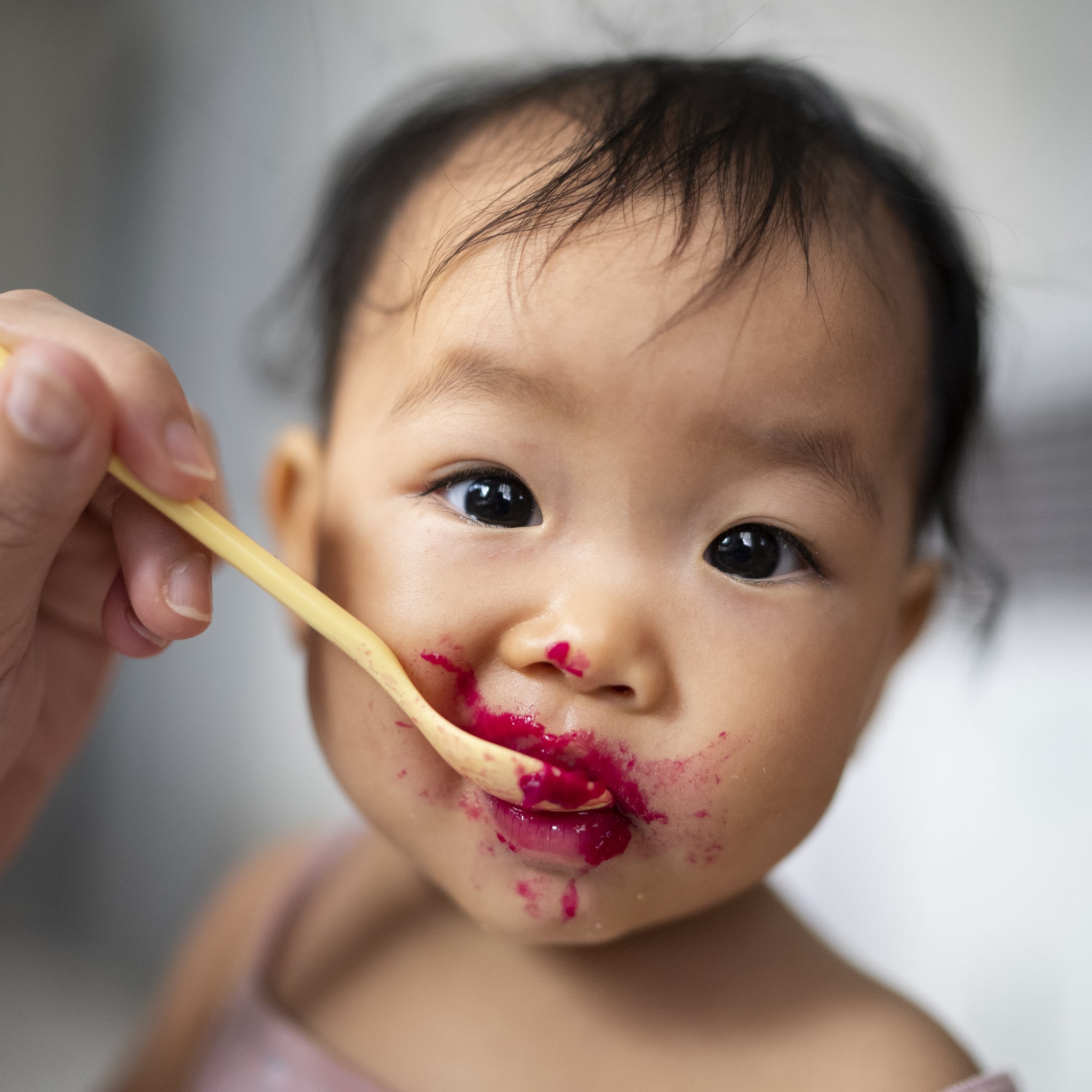 Best baby food processor uk top