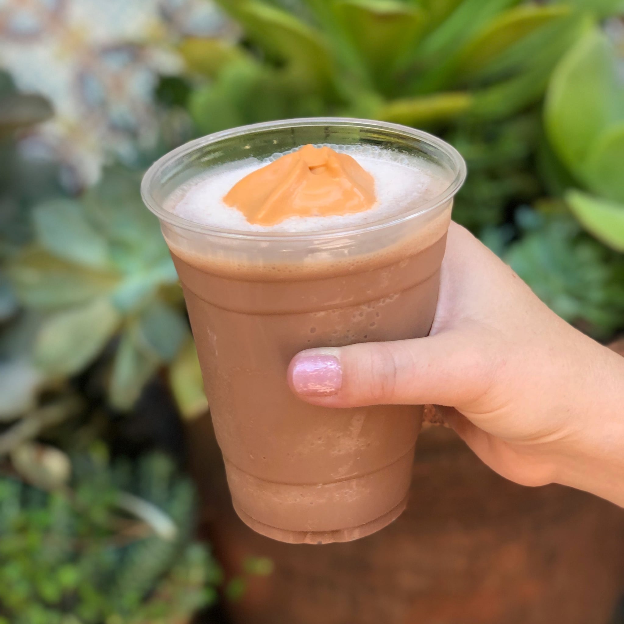 Frozen Abuelita Horchata At Disneyland Popsugar Food