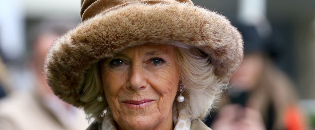 What Do Will and Harry's Kids Call Camilla?