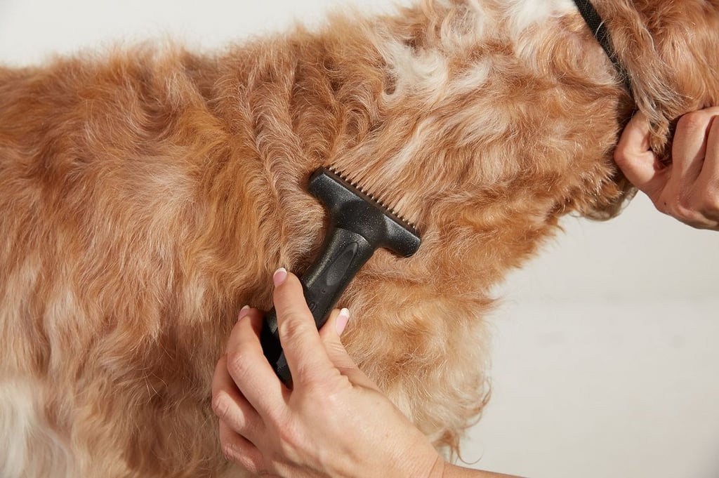 Andis Premium Pet Grooming Tools: Deshedding Tool