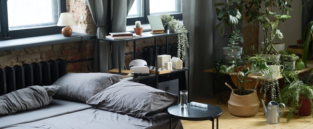 Biophilic Design Explained, Plus Room Inspo