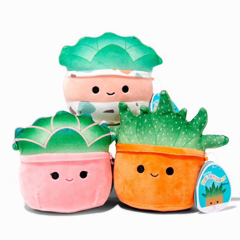 A Min Squishmallowi : Succulent PlushToy Mini Squishmallow