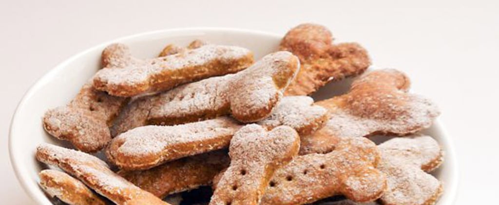 Pumpkin Recipes For Dogs