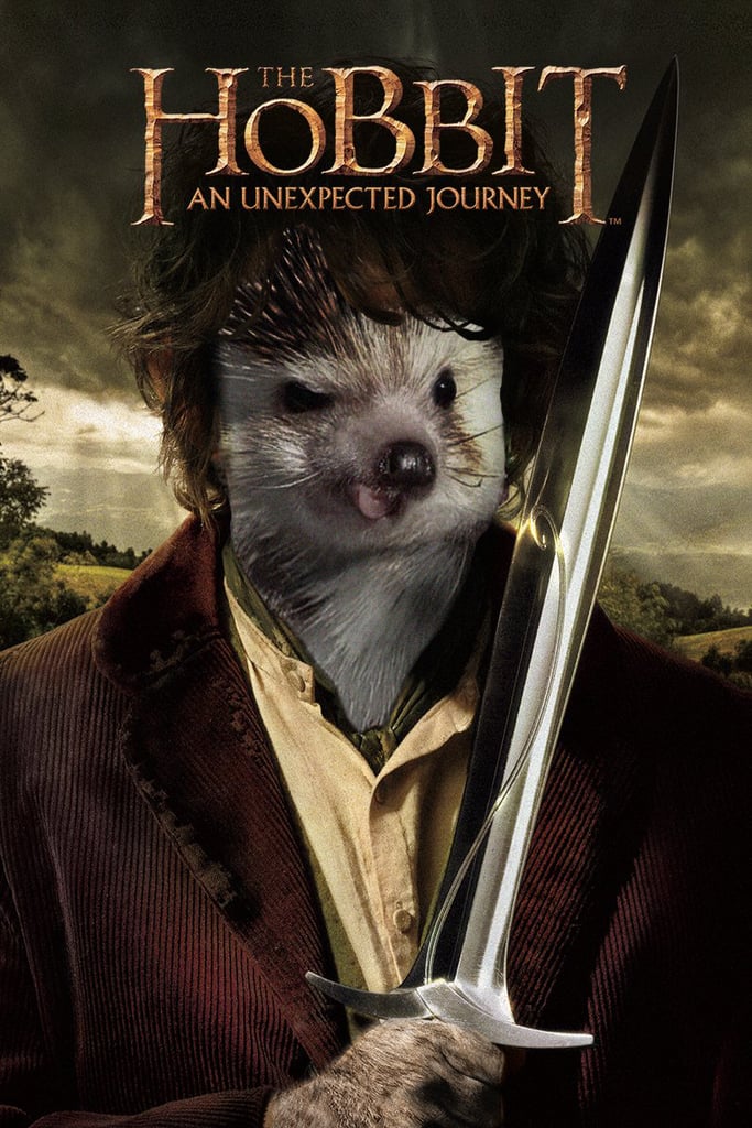 Hobbit Biddy
