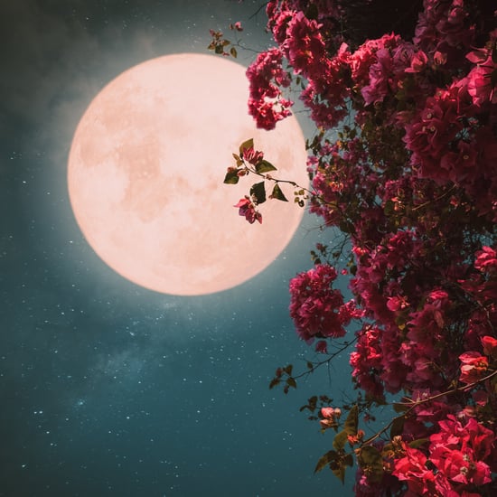 Pink Moon Spiritual Meaning 2024, According to Astrologer