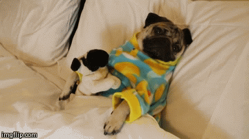 Let Her Have Full Reign of the Bed