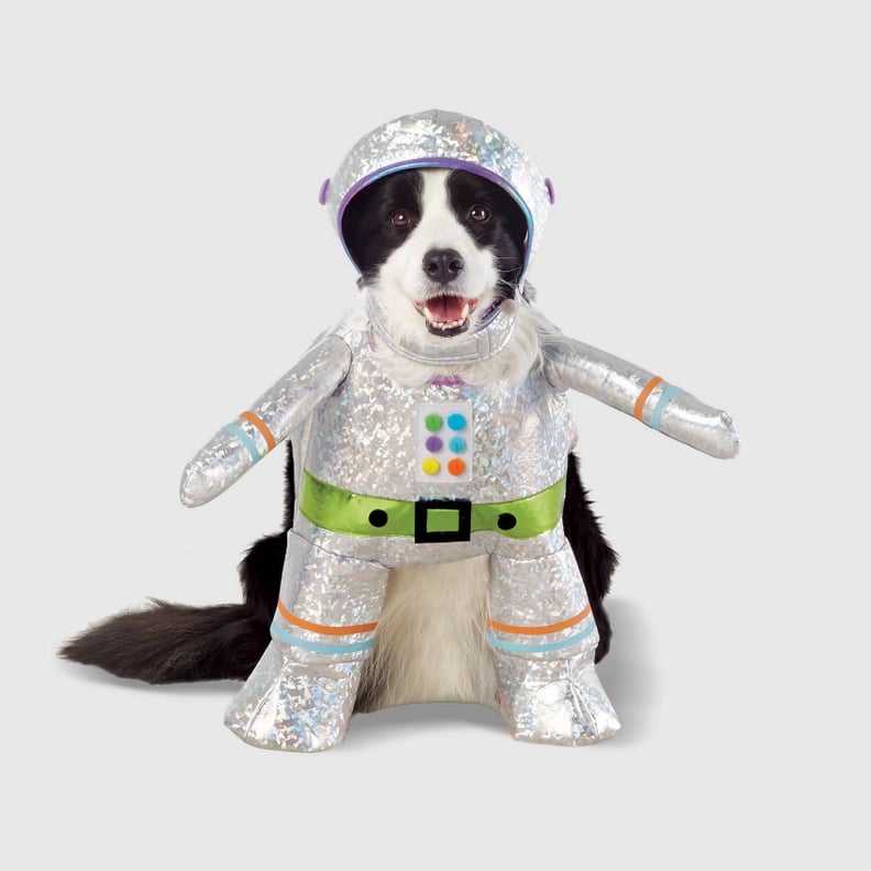 Robot Dog and Cat Costume