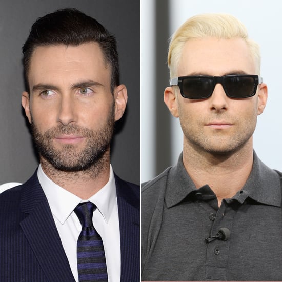 Does Adam Look Better As A Brunette Or Blonde Celebrity Men
