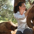 You Won't Be Able to Resist Helping These Adorable Baby Elephants