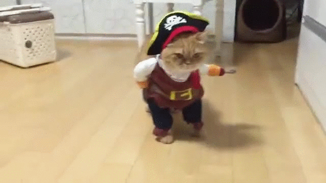 Argh, matey!