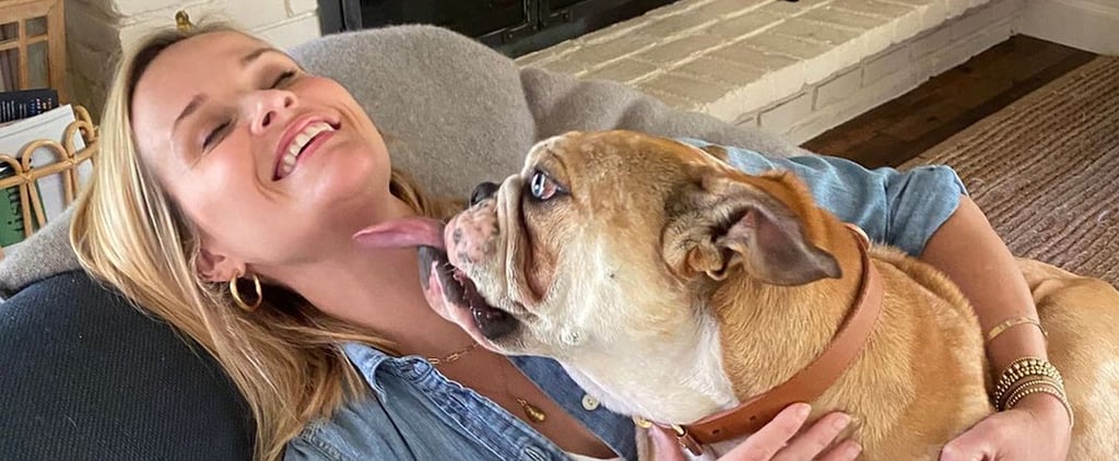 How Many Dogs Does Reese Witherspoon Have?