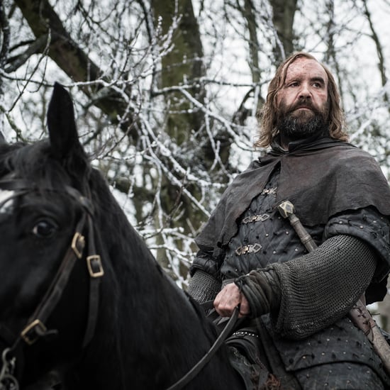 When Is the Last Time Arya Saw the Hound on Game of Thrones?
