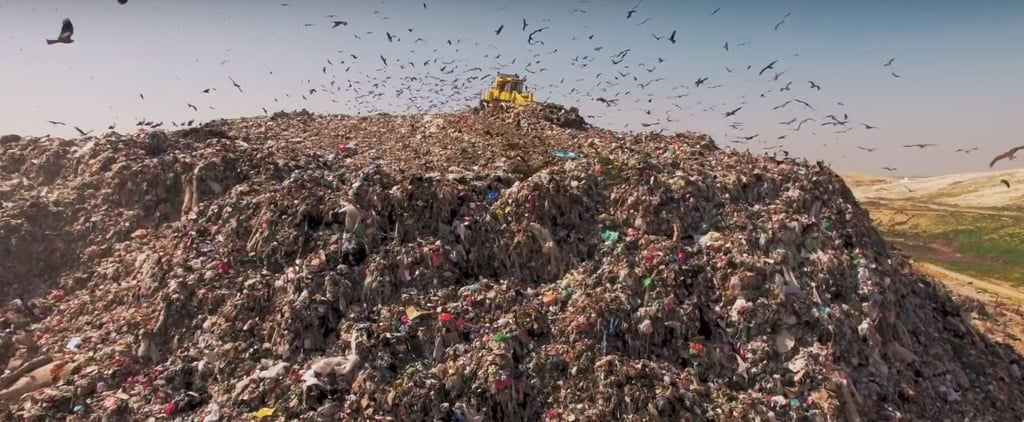 Anthony Bourdain's Wasted! Trailer