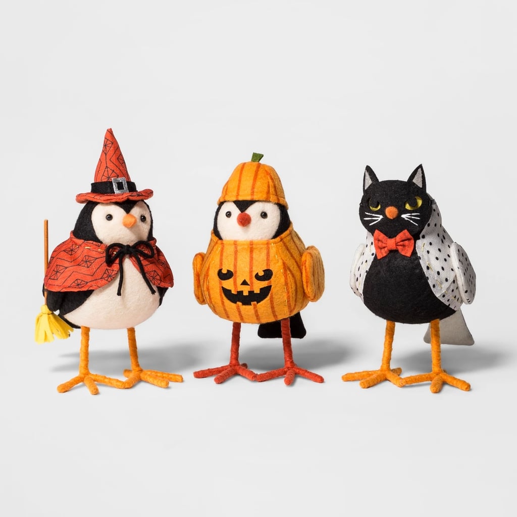 Bird Witch, Cat, Pumpkin