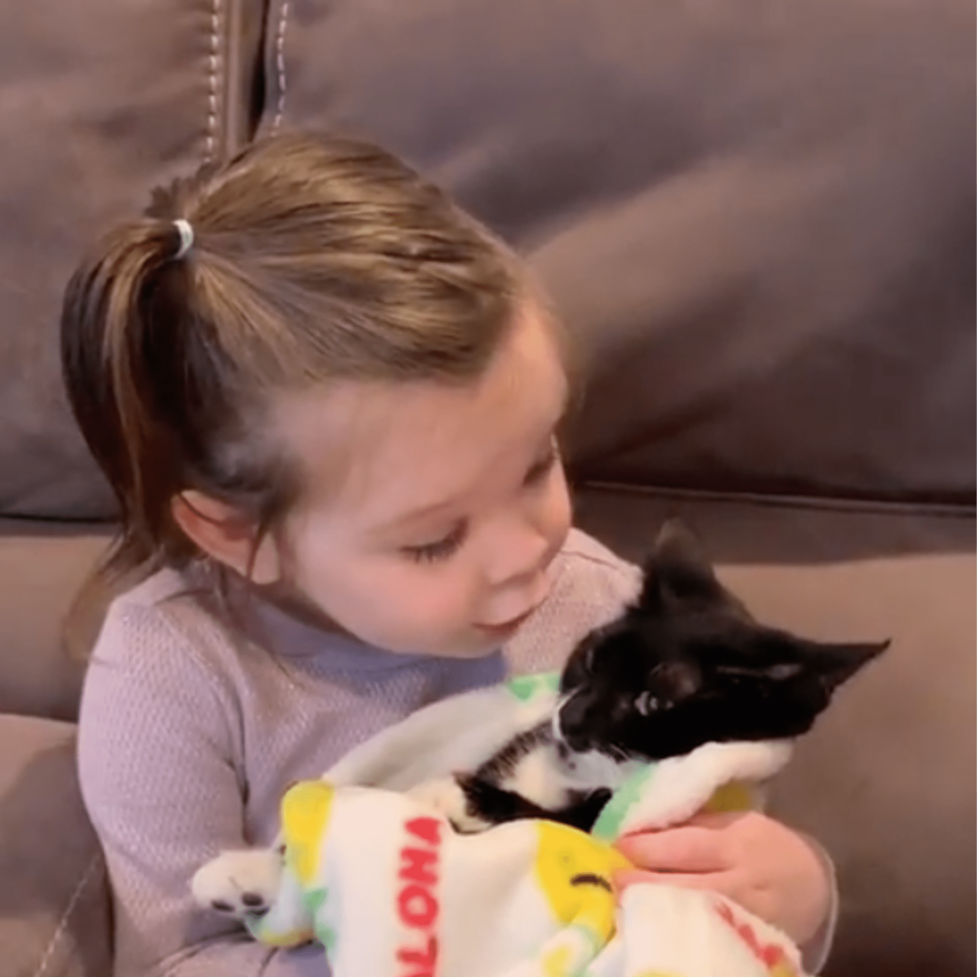 Video Of Little Girl Saying Goodbye To Her Cat Popsugar Family