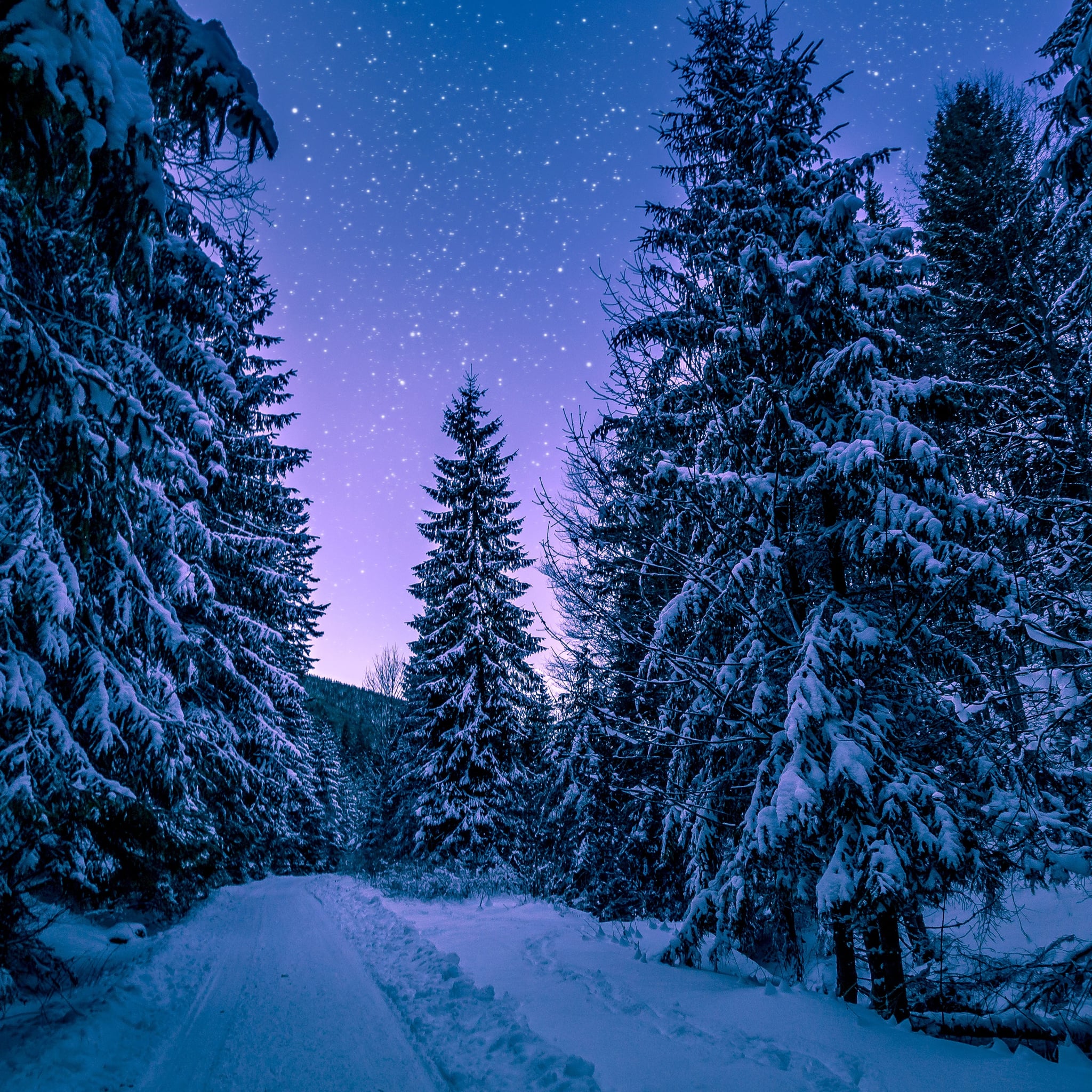 15+ Beautiful Photos of Winter | POPSUGAR Smart Living