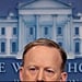 Sean Spicer Cutout Bush Decoration