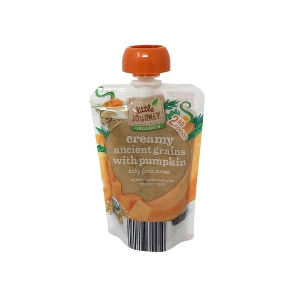 Organic Pumpkin Baby Food ($1)