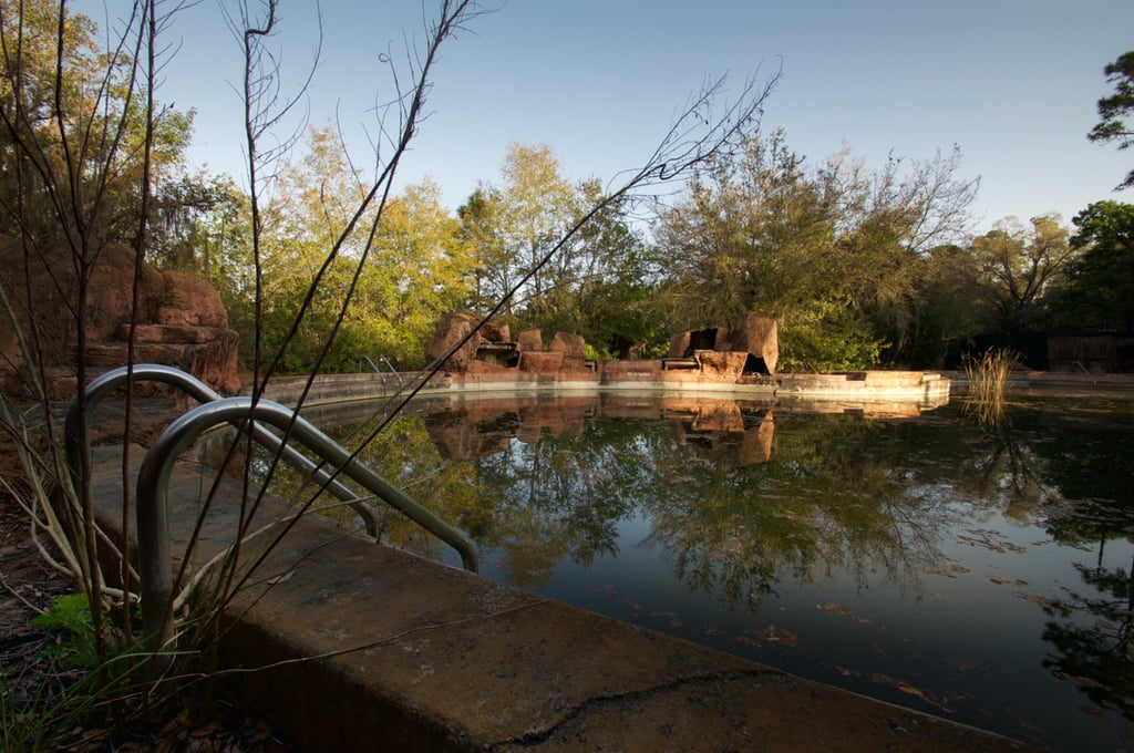 Abandoned Disney Park Photos
