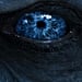 Game of Thrones Season 7 GIFs