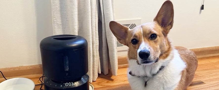 PETLIBRO Automatic Dog Feeder Review With Photos