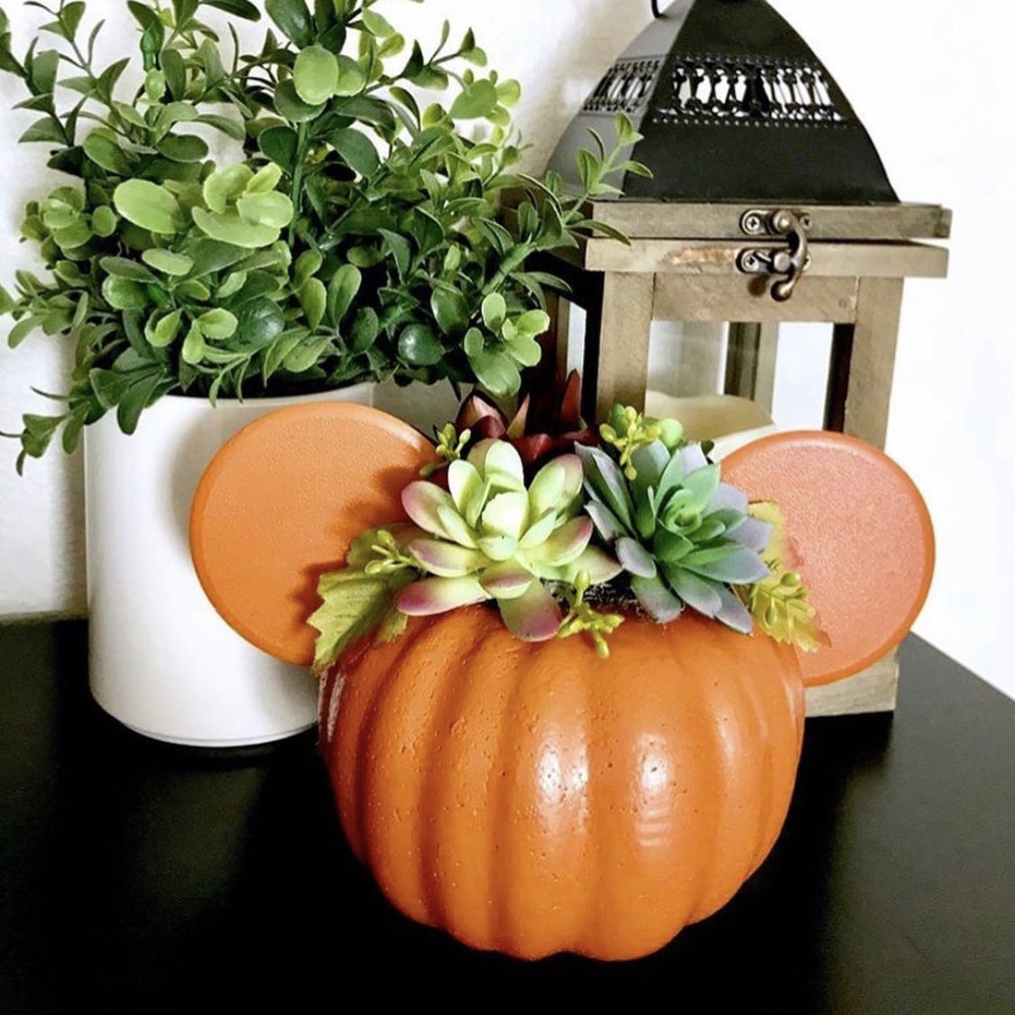 Mickey Mouse Pumpkin Succulent Planter DIY