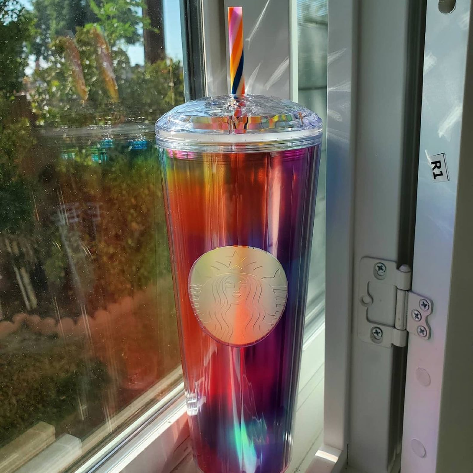 Starbucks's 2021 Rainbow Dome Tumbler Is Perfect For Pride POPSUGAR Food