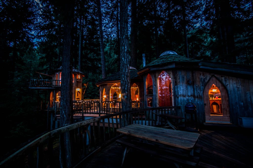 Tree House Rental in Washington