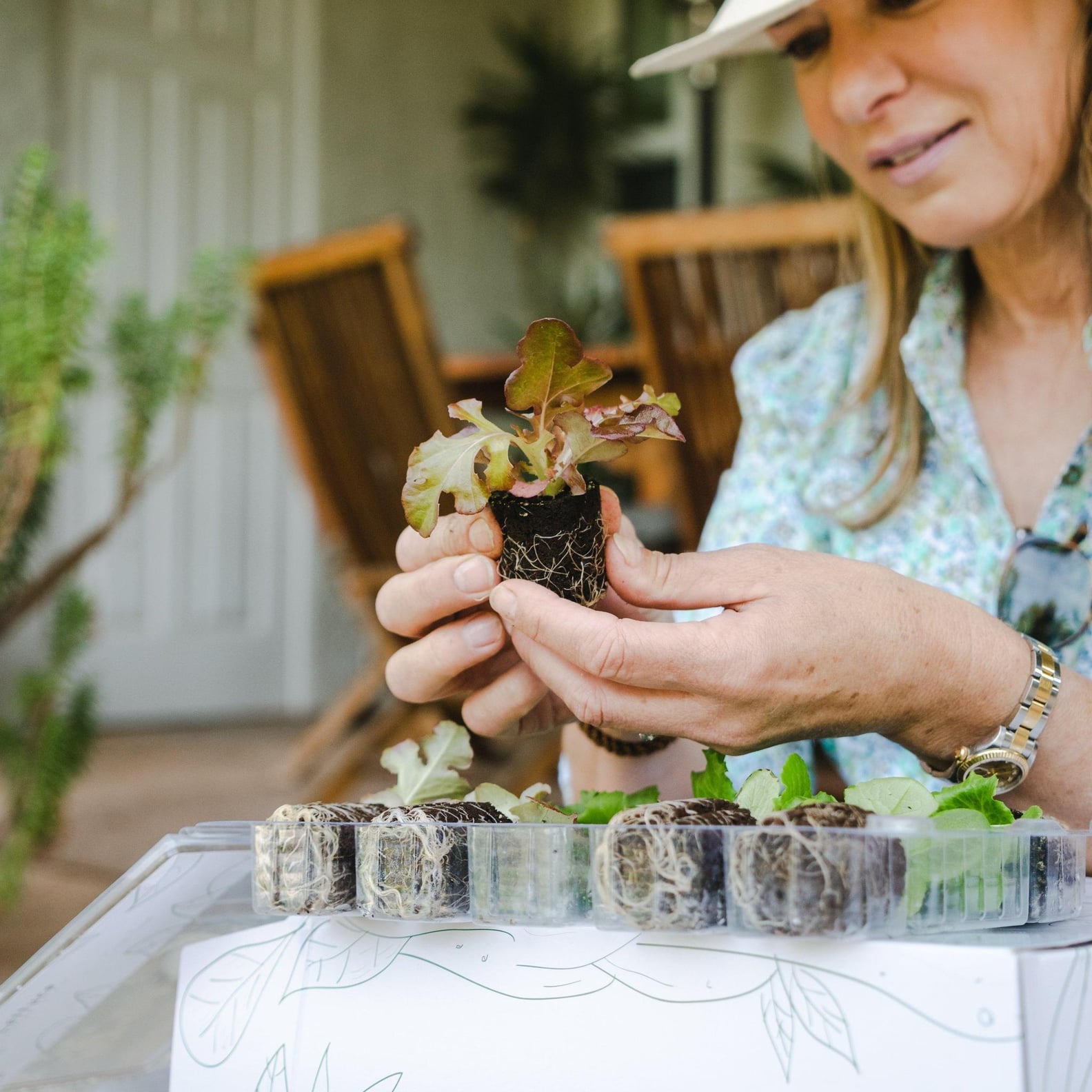 Where to Order Vegetable Plants Online For Delivery POPSUGAR Home