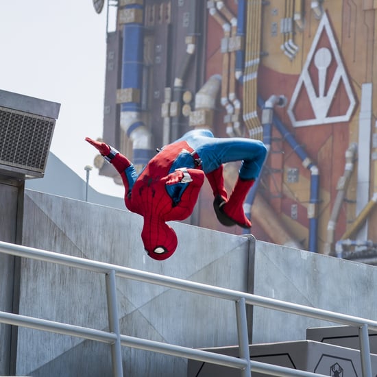 Flying Animatronic Spider-Man at Avengers Campus | Videos