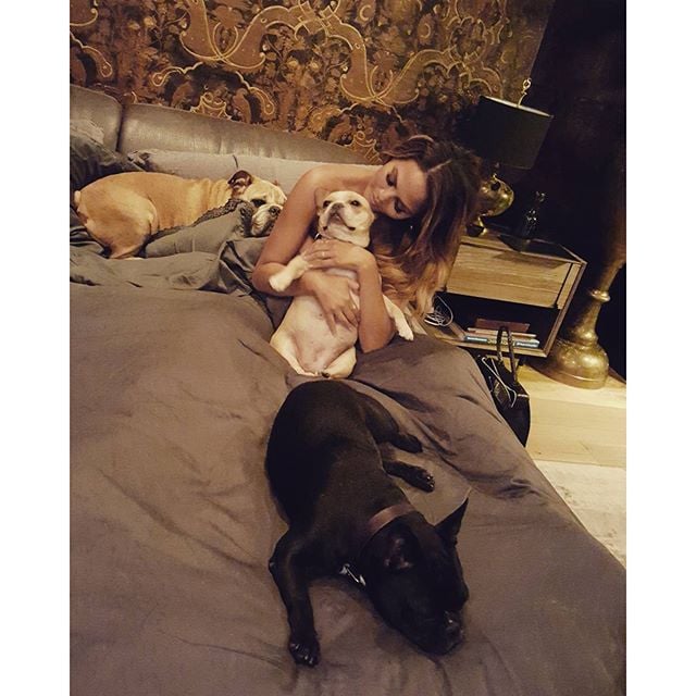 And Lots of Furry Friends to Play With