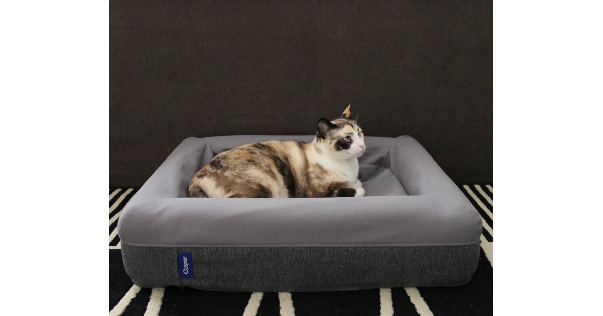 Jiji enjoying some downtime on the new mattress. Casper Dog Bed