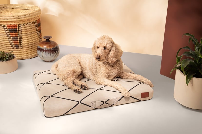 Louis Vuitton dog bed cute  Cute dog clothes, Pet bed, Puppy beds