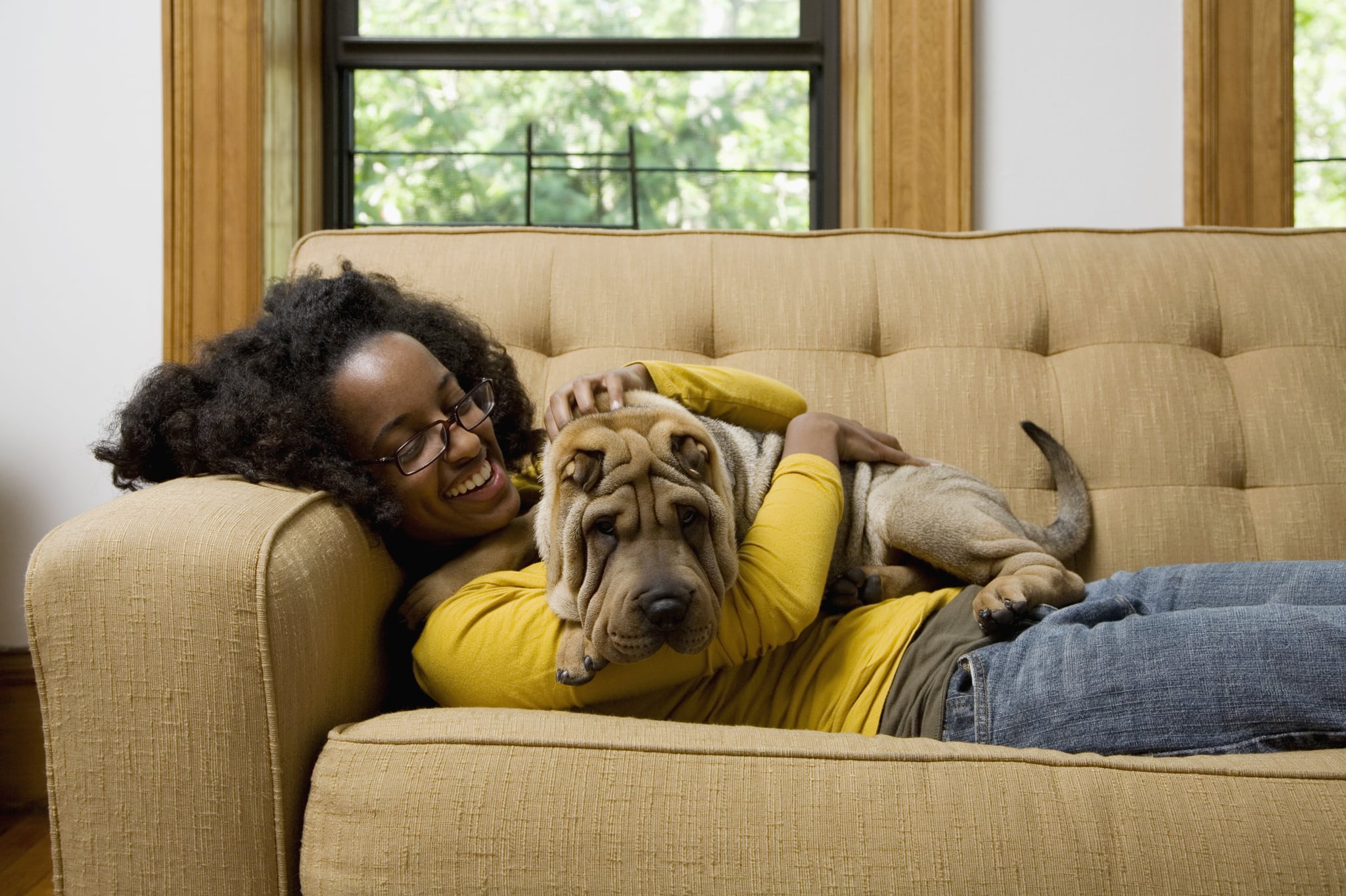 do you let your dog on the sofa