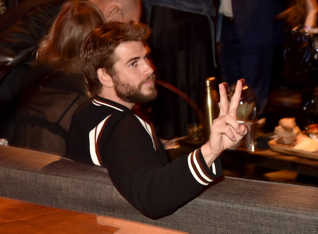 Luke and Liam Hemsworth at Westworld Season 2 Premiere