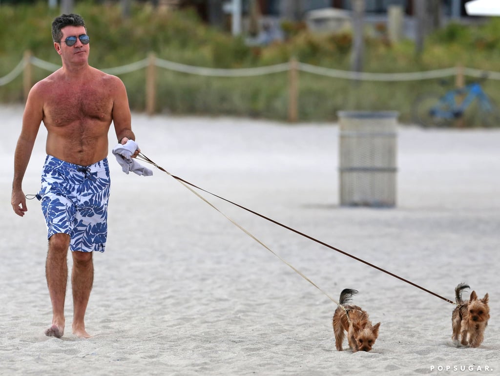 On Tuesday, Simon Cowell showed off a new tan while walking his two dogs in Miami.