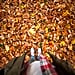 How to Rake Leaves With Cardboard