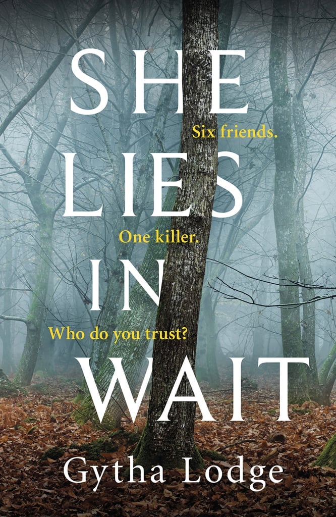 She Lies in Wait | Best Summer Beach Reads | 2020 ...