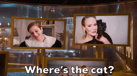 See All the Best Dog Moments at the 2021 Golden Globes