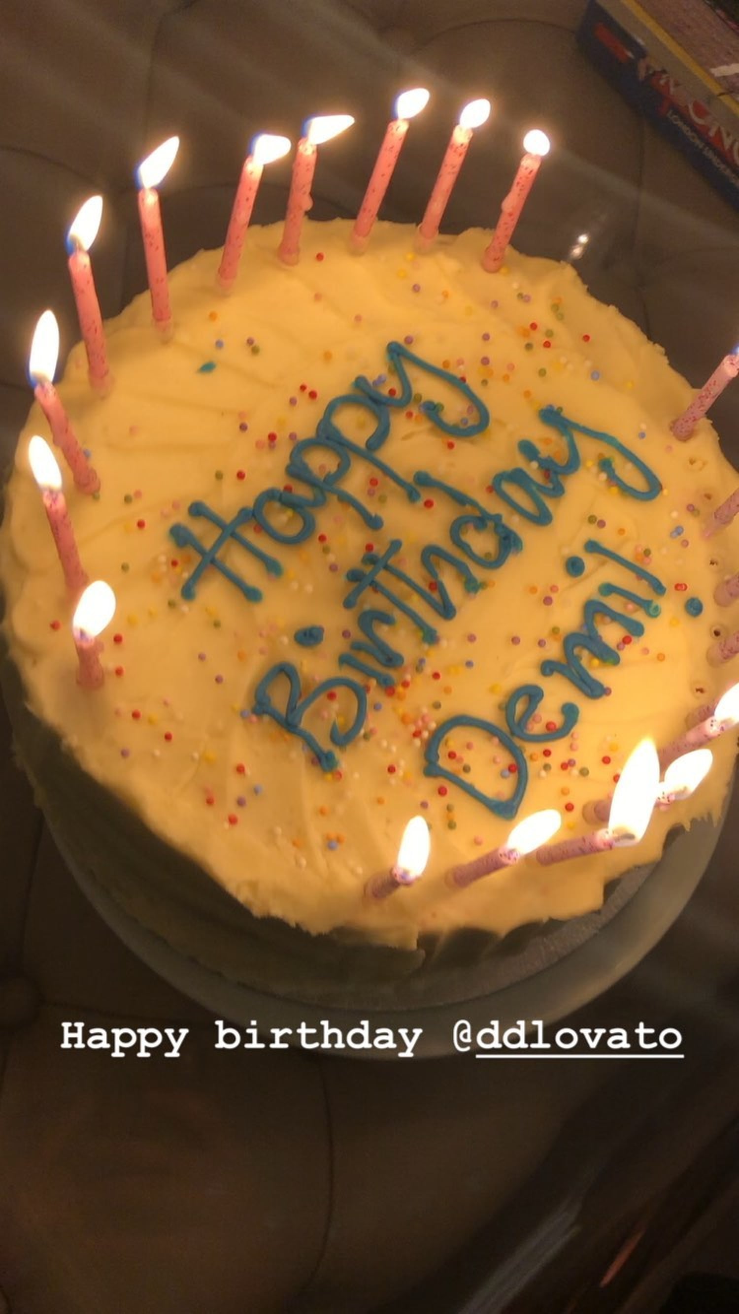 Demi Lovato’s Birthday at Ariana Grande Concert 2019 | POPSUGAR Celebrity