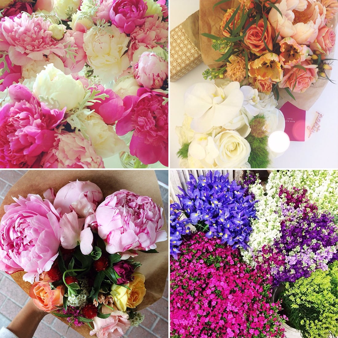 You Hit The Flower Mart Twice A Week Instagram Insight You Know You Re A Fashion Blogger If Popsugar Fashion Photo 8 You Hit The Flower Mart Twice A Week Instagram Insight You Know You Re A Fashion Blogger If Popsugar Fashion Photo 8